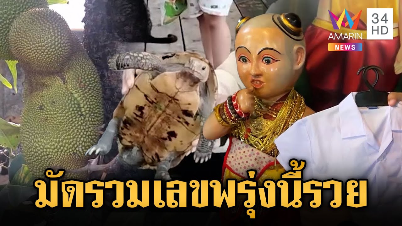 พรุ่งนี้รวย! มัดรวมเลขเด็ด เต่าสีทองกระดองพระสมเด็จ-ขนุนคล้ายทารก | ข่าวอรุณอมรินทร์ | 15/5/68
