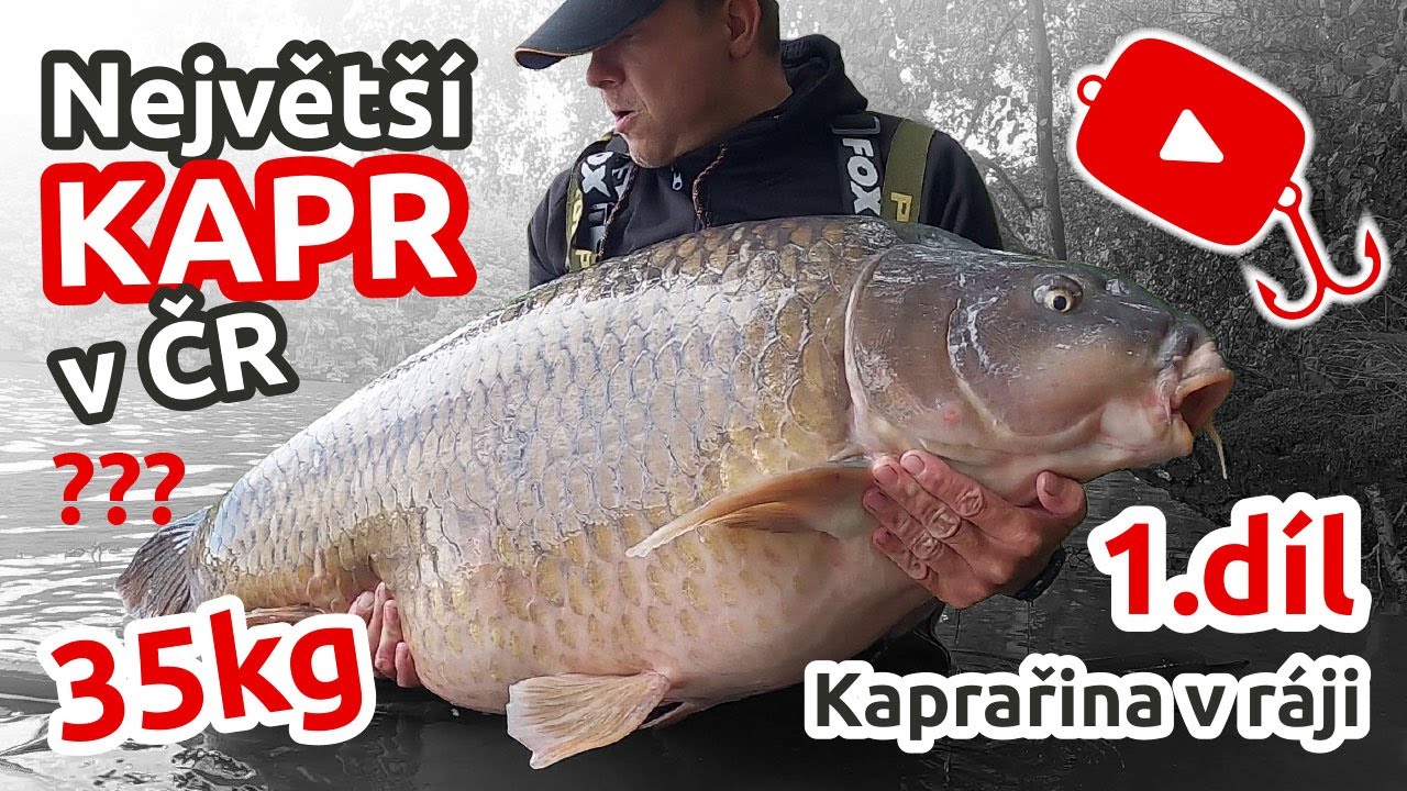 CHYTILI JSME NEJVĚTŠÍHO KAPRA v ČR??!! | Kaprařina v ráji 1. díl