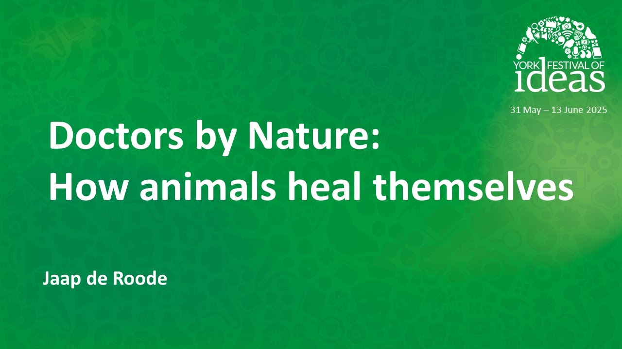 Doctors by Nature: How animals heal themselves - Jaap de Roode
