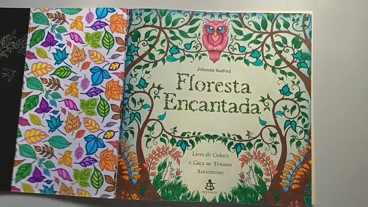 Livro Floresta Encantada finalizado!