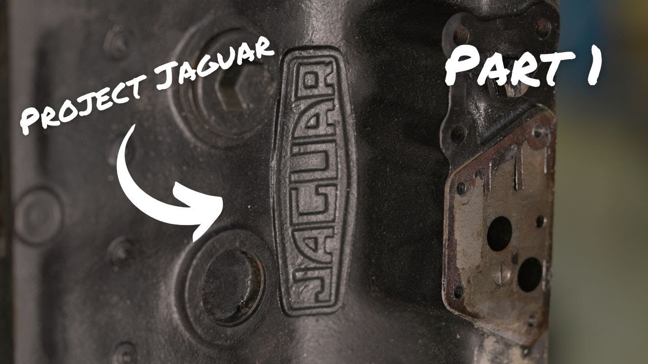 Jaguar fans! Check out this new project