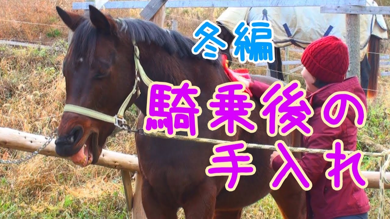 【解説】手入れするよ！～冬編～（最後に告知あり）