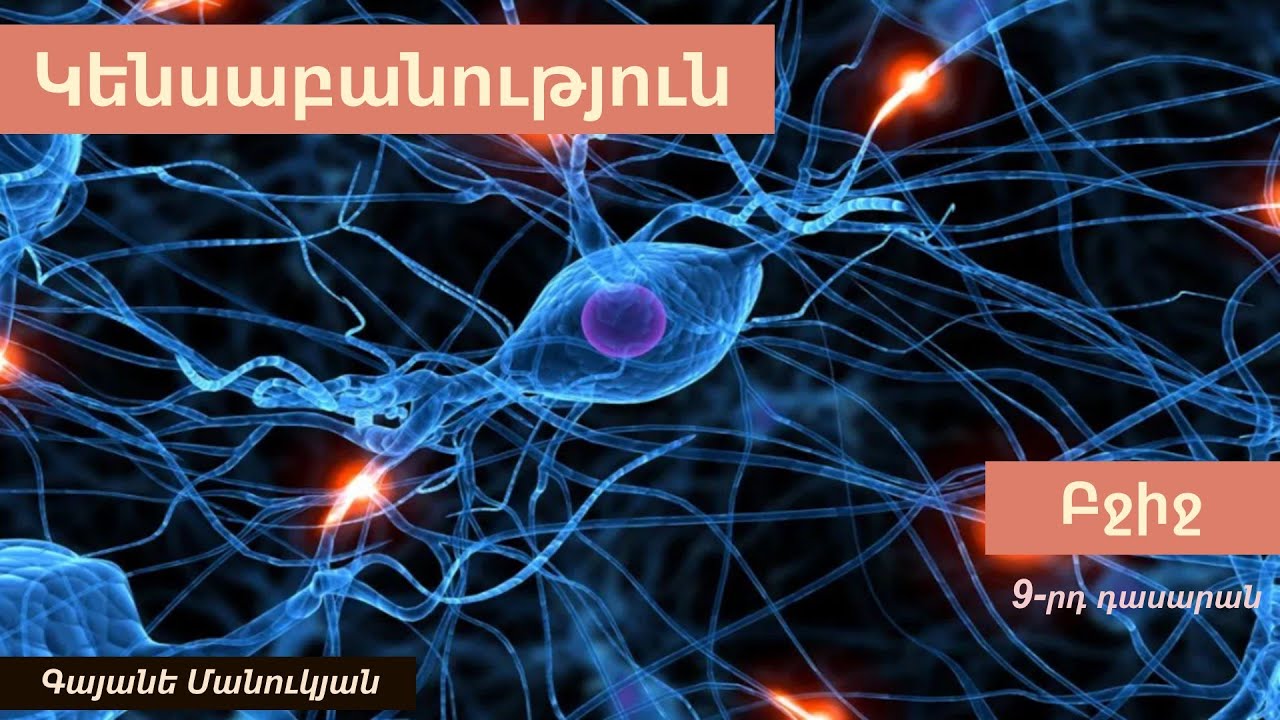 Բջիջ. 9-րդ դասարան