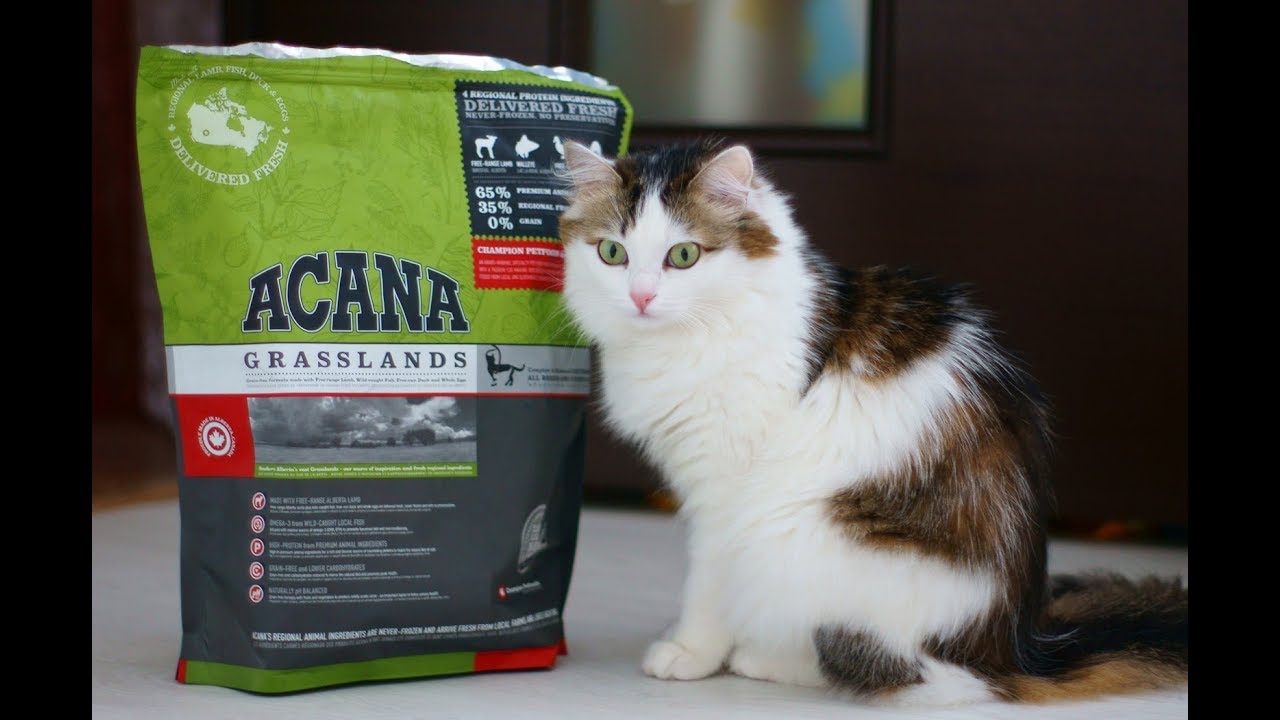 Купить корм Акана Грасслэднс в Минске для КОШКИ - Acana Grasslands l Недорого! +ДОСТАВКА