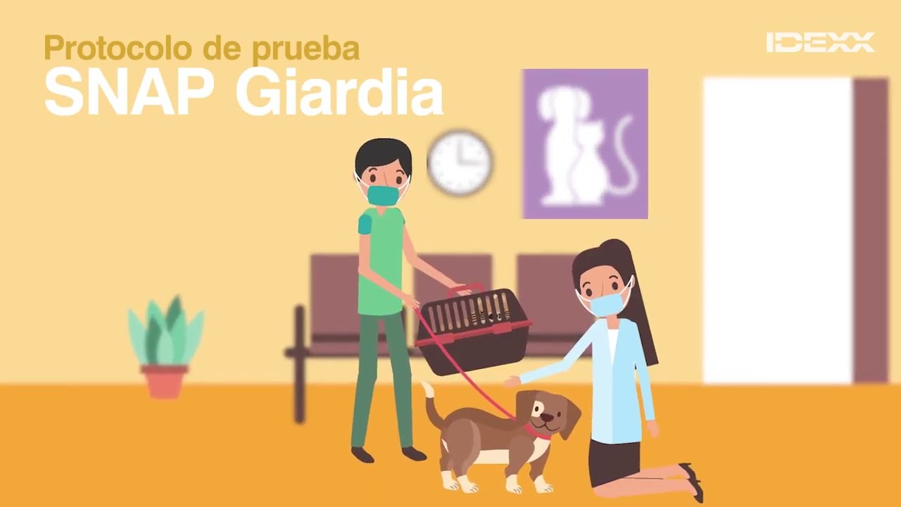 Protocolo de Prueba - IDEXX SNAP Giardia (ES)