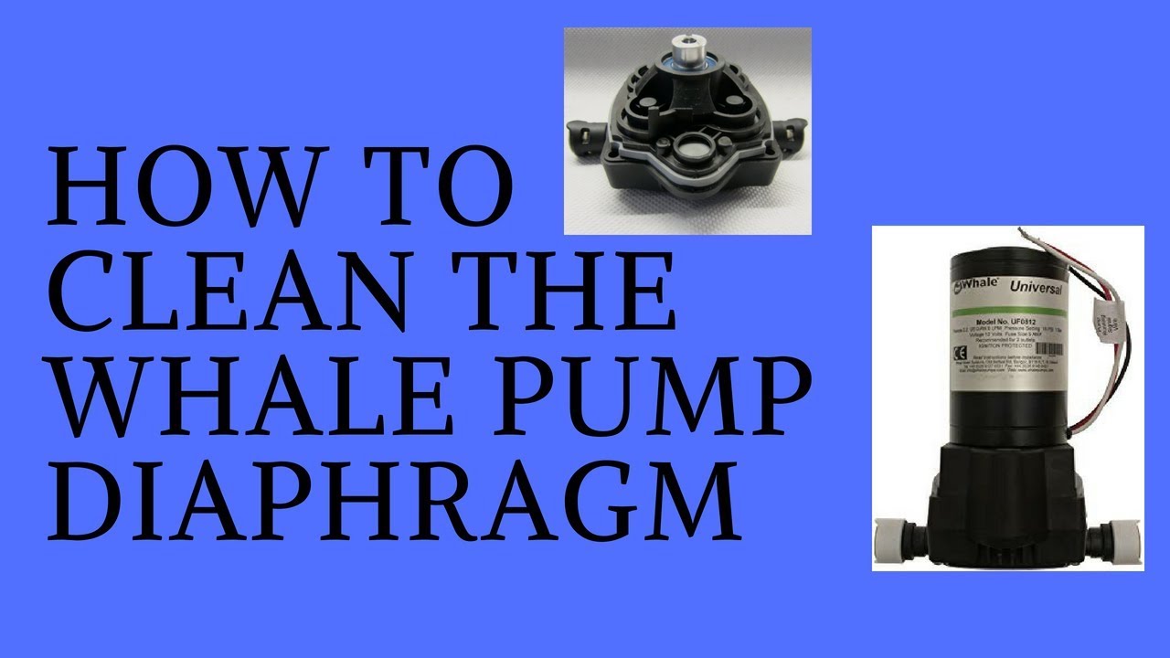 Whale Water pump Maintenance