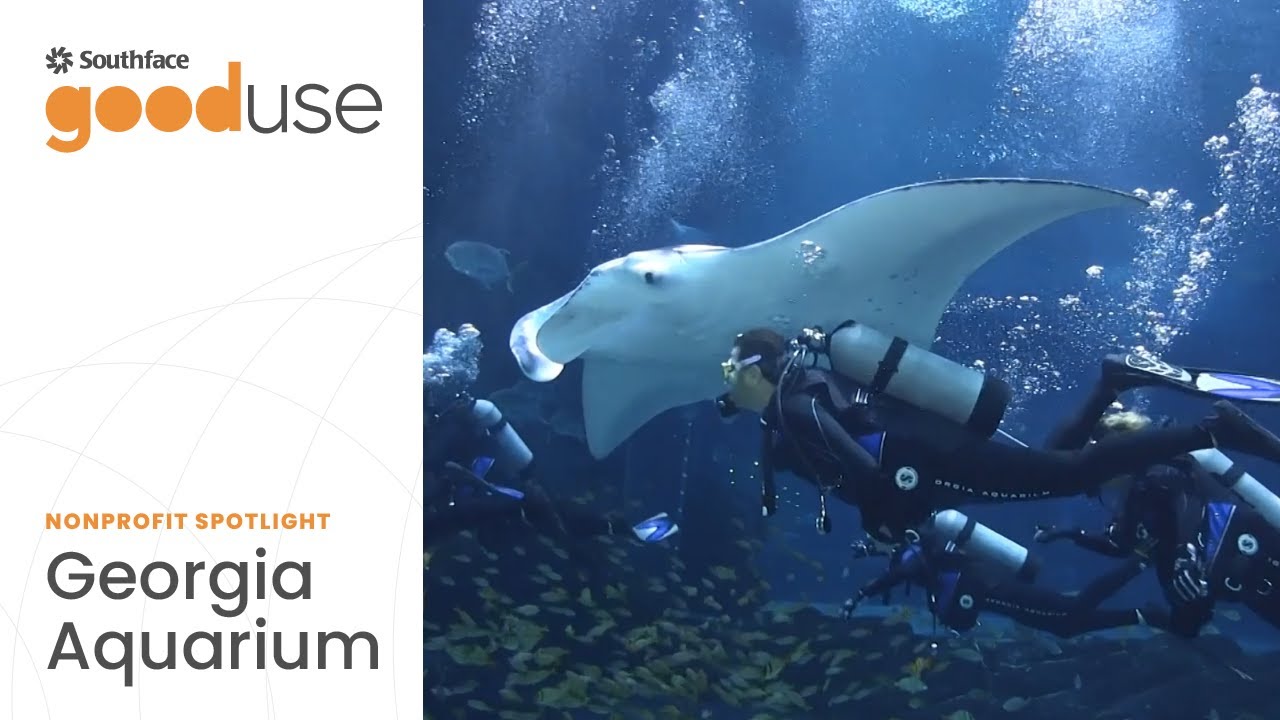 GoodUse Spotlight: Georgia Aquarium Efficiency Story