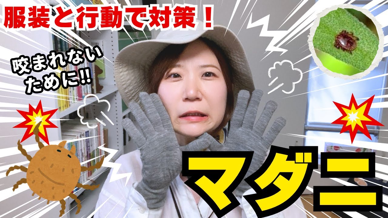 私のマダニ対策！！！【気を付けるべき服装と行動！】