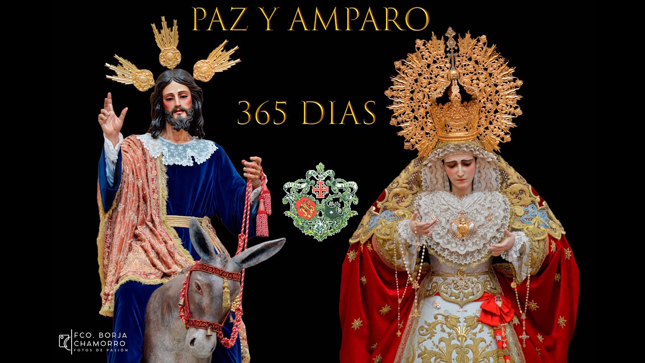365 días de... Paz y Amparo | Hermandad de la Paz (Borriquita) | 