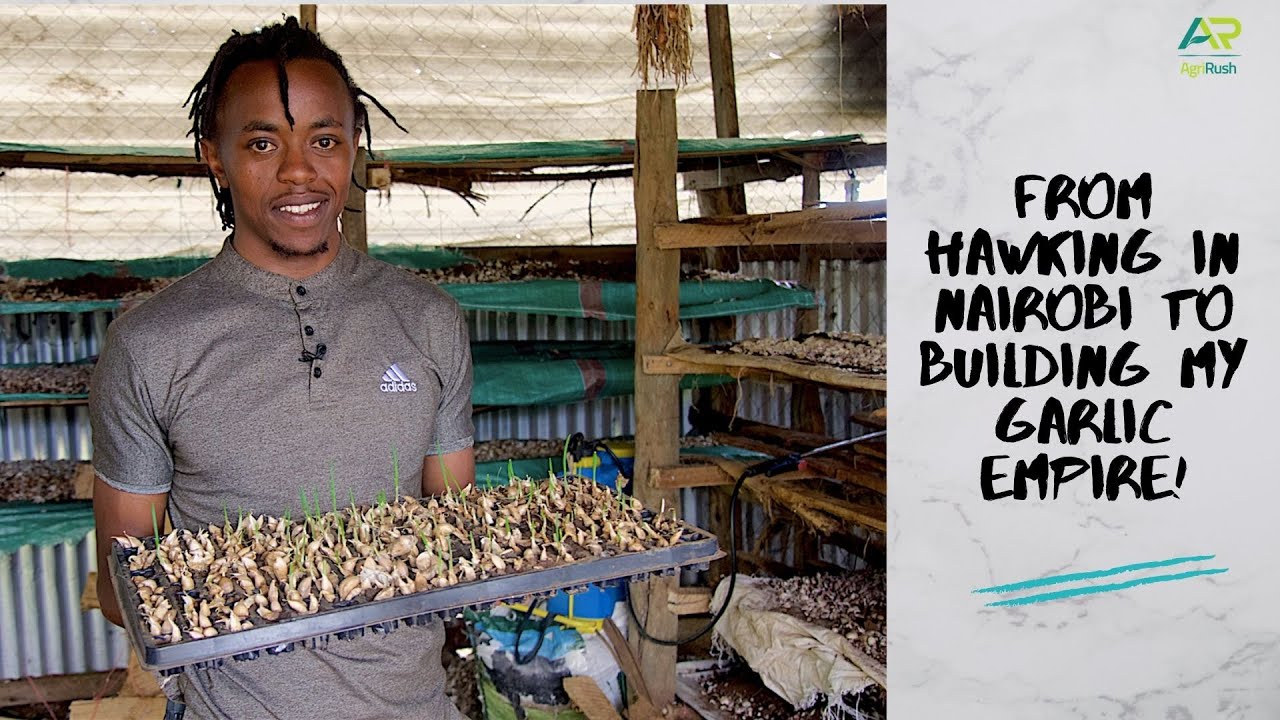 How I stopped hawking garlic in Nairobi, to go start my Saumu Empire! I have even developed an app!