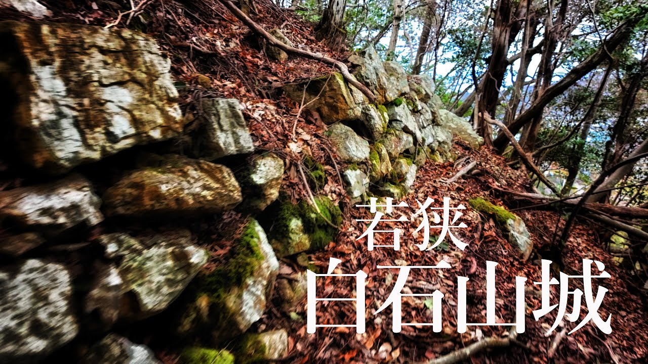 【ザ・マニアック】若狭 白石山城　案内一切なしの山城
