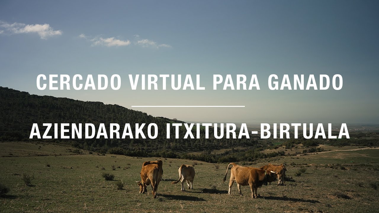 Sistema de cercado virtual para ganado explicado por el pastor Pedro Berrade de Ujué / Uxue
