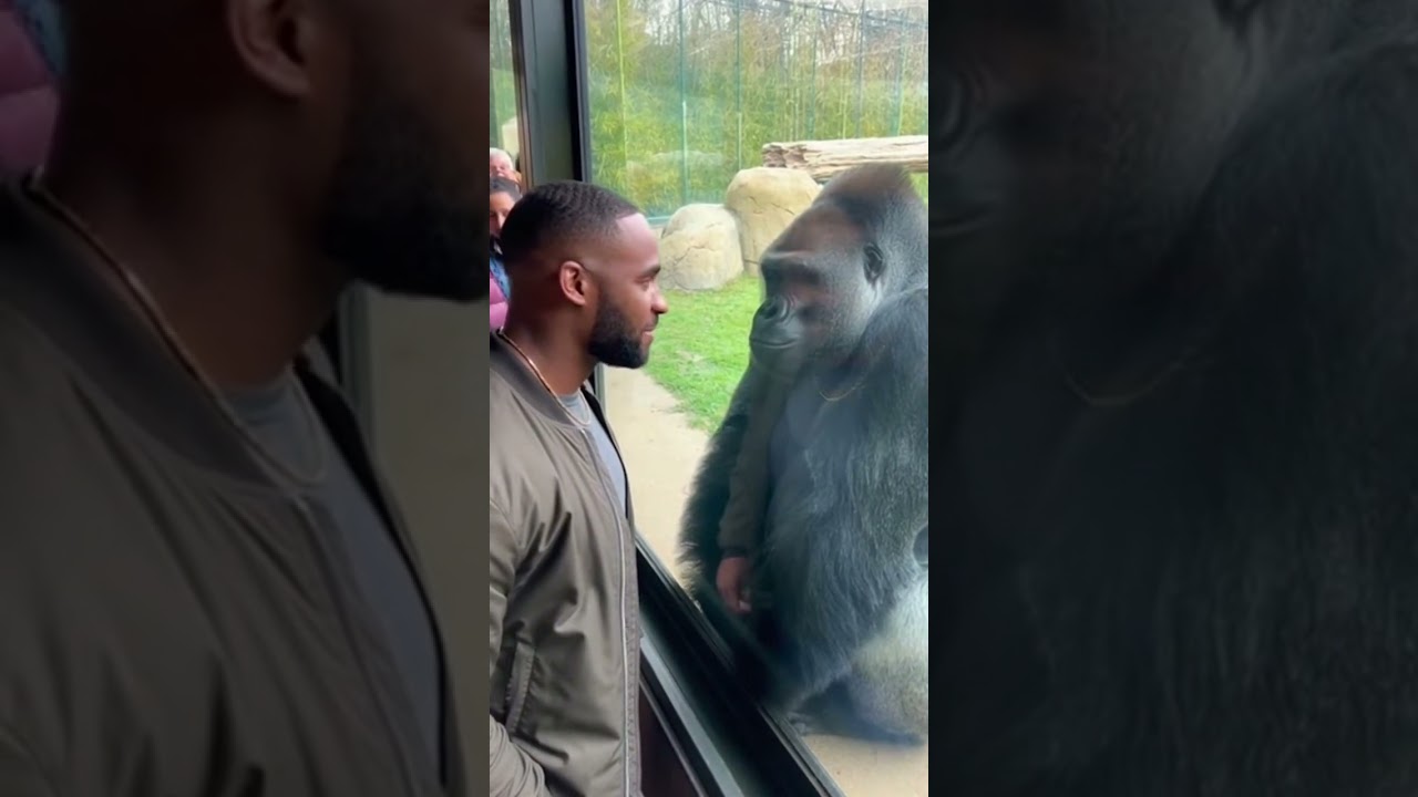 mobile video  The man gives a respectful upward head nod  classic USA greeting style