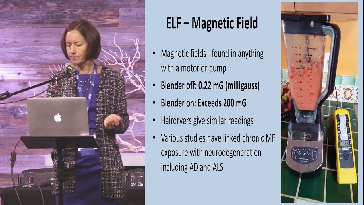 Sharon Goldberg EMF Lecture