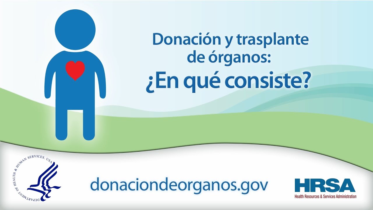Donación y trasplante de órganos: ¿En qué consiste?
