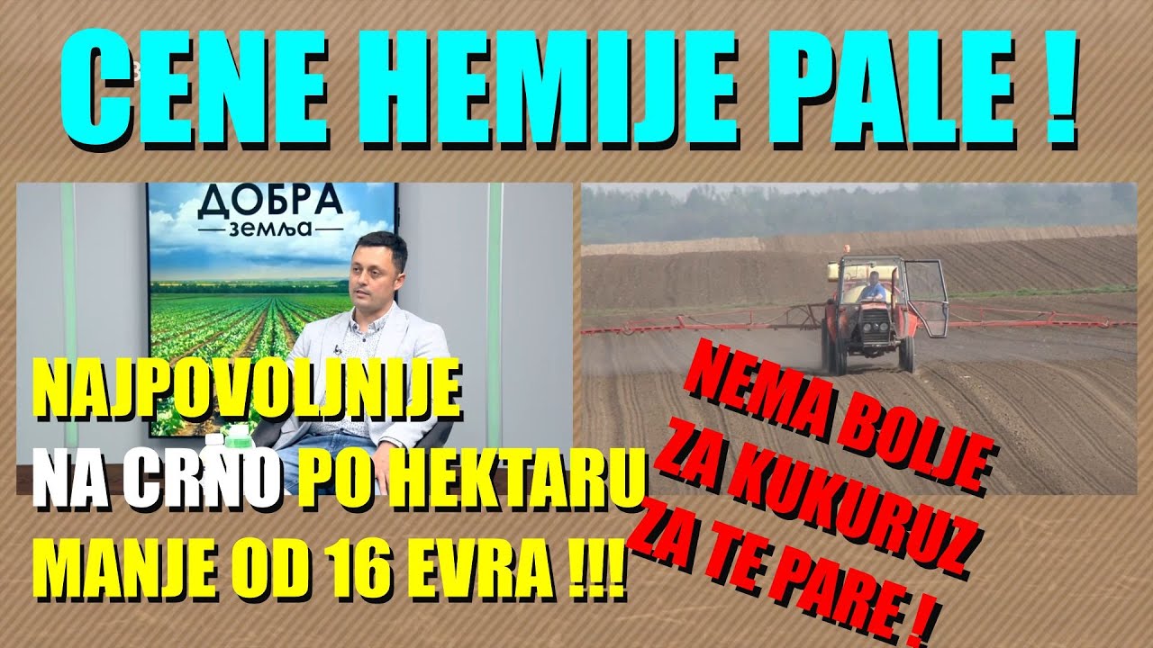 NAJPOVOLJNIJE PRSKANJE KUKURUZA U SRBIJI 2025 -HEMIKS izašao s ponudom - od 1 885 dinara po hektaru!
