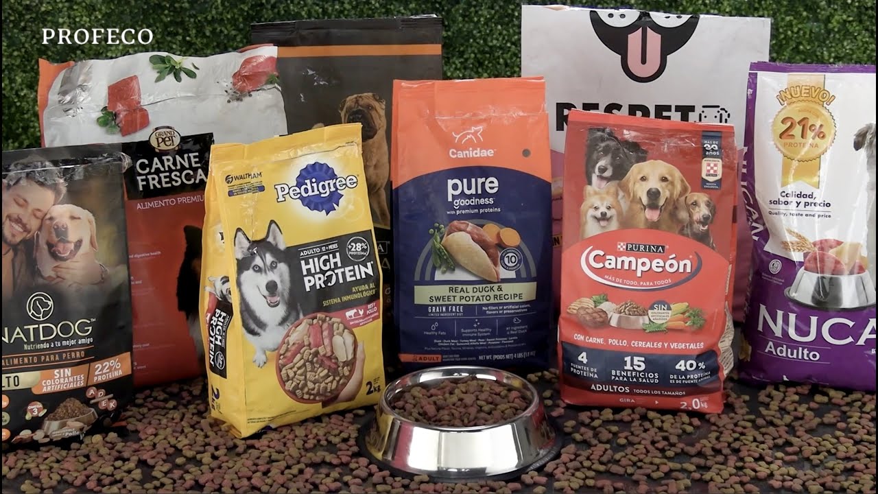 Croquetas para perros | Estudio de Calidad | Profeco