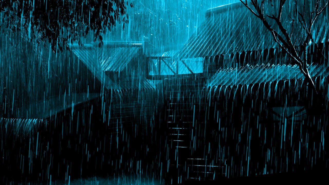 Sonido De Lluvia Fuerte Y Truenos En Bosque Brumoso Para Dormir Profundamente