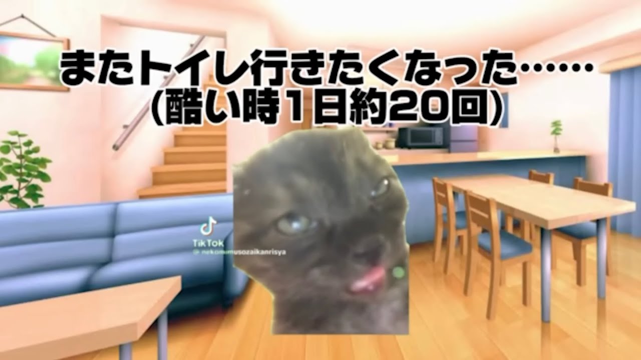 う〇ちが出まくる文字通りクソみたいな一生治らない病気になった話【猫ミーム】