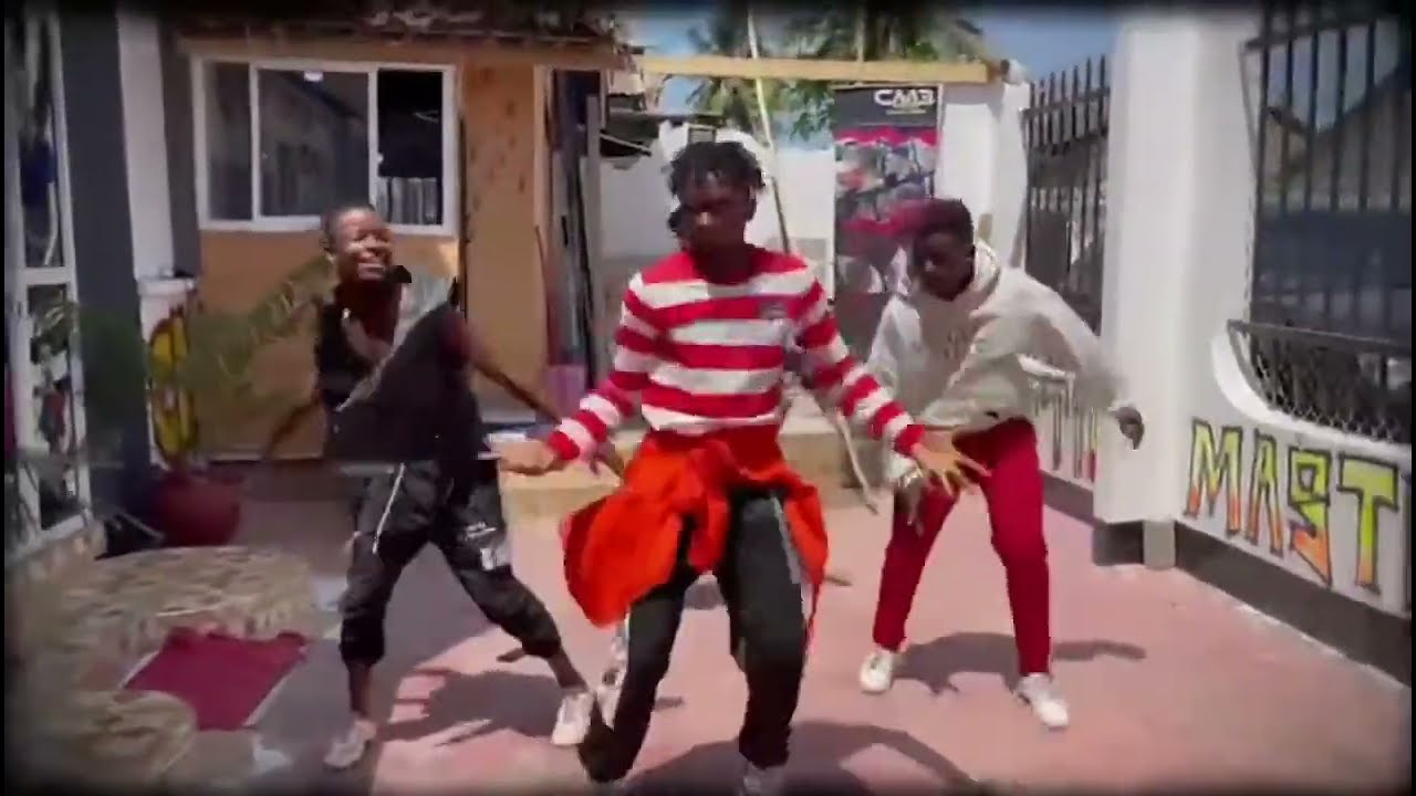 Rayvanny Ft Vannesa Mdee - Twerk (official Dance) chama dancers afro