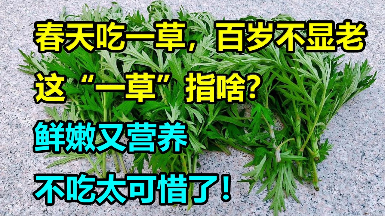“春天吃一草，百岁不显老”，这“一草”指啥？鲜嫩又营养，全身是宝，不吃太可惜了！#李医师谈健康