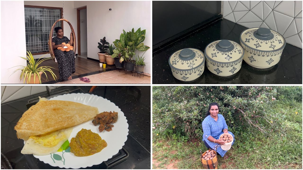 TerraceGarden Update/3pm to 10pmEveningTime/GardenVisit/BloodyBegger pathacha #food #cooking #tamil