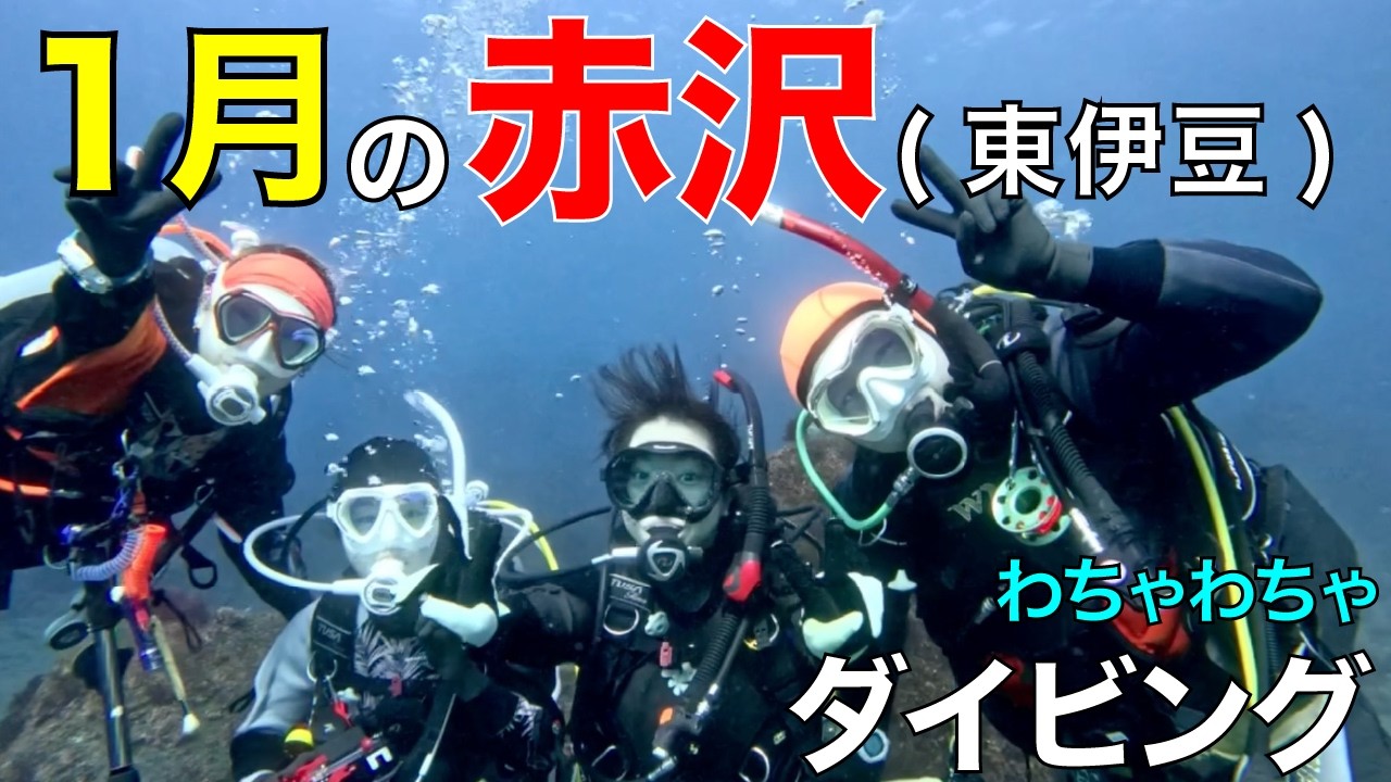 【東伊豆】冬の赤沢が青すぎた！極寒ダイビングだけど仲間とわちゃわちゃ最高な休日｜初赤沢FUNダイブ