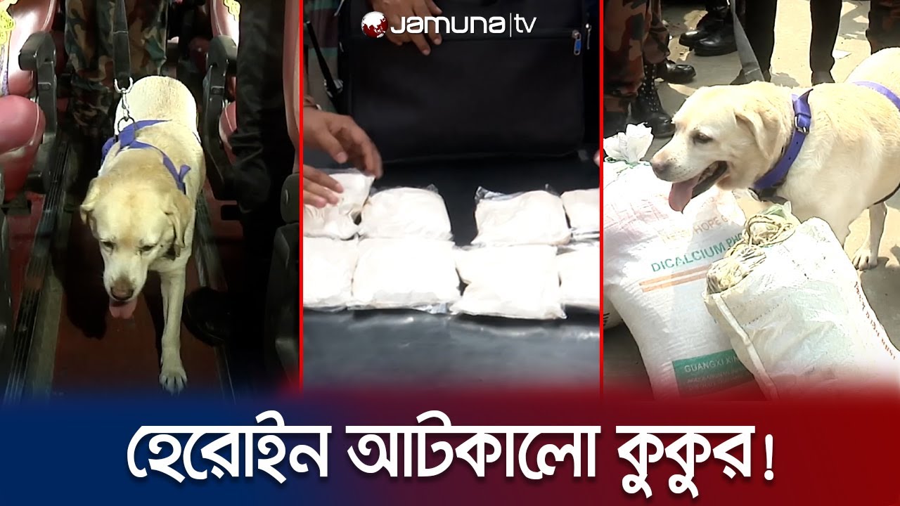 কোটি টাকার হেরোইন ধরিয়ে দিলো বিজিবি’র কুকুর! | BGB | Dog Squad | Jamuna TV