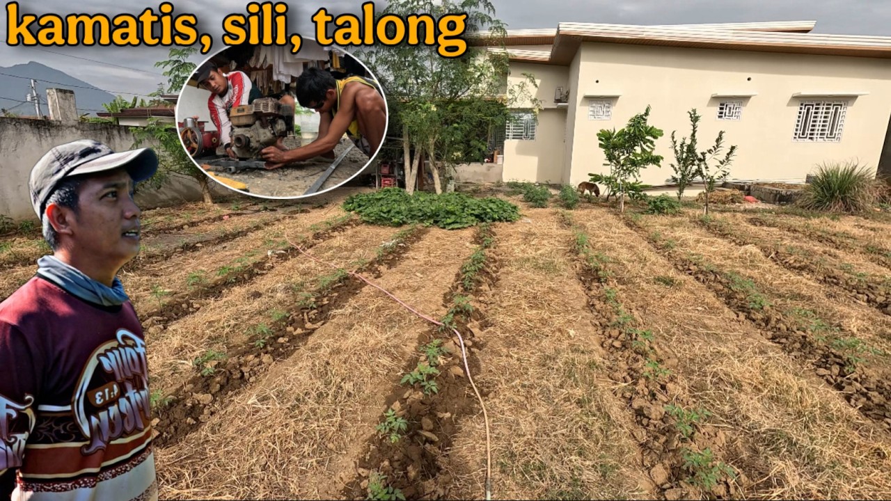 BACKYARD FARMING HABANG WAITING PA SA PROJECT X