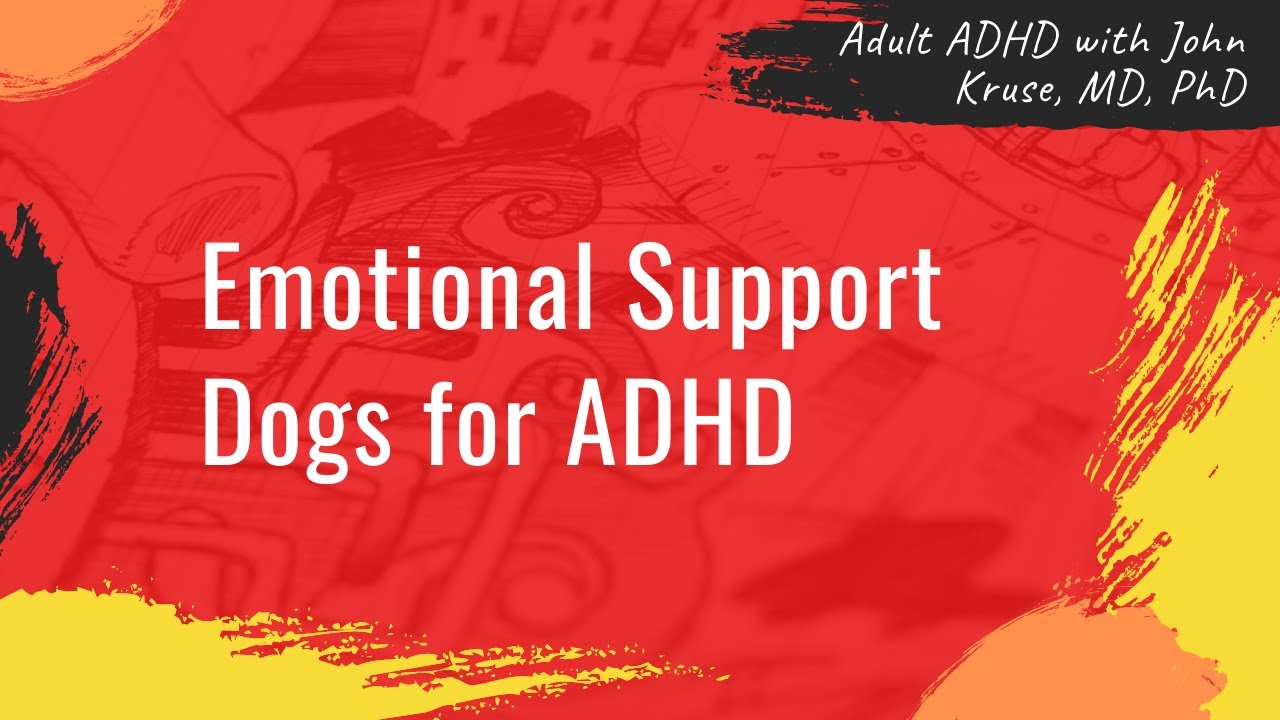 Emotional Support Dogs for ADHD | ADHD | Episode 76