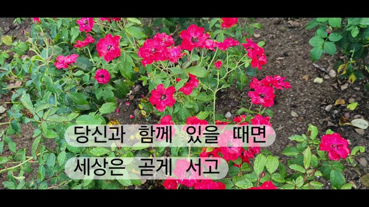 소중한 인연