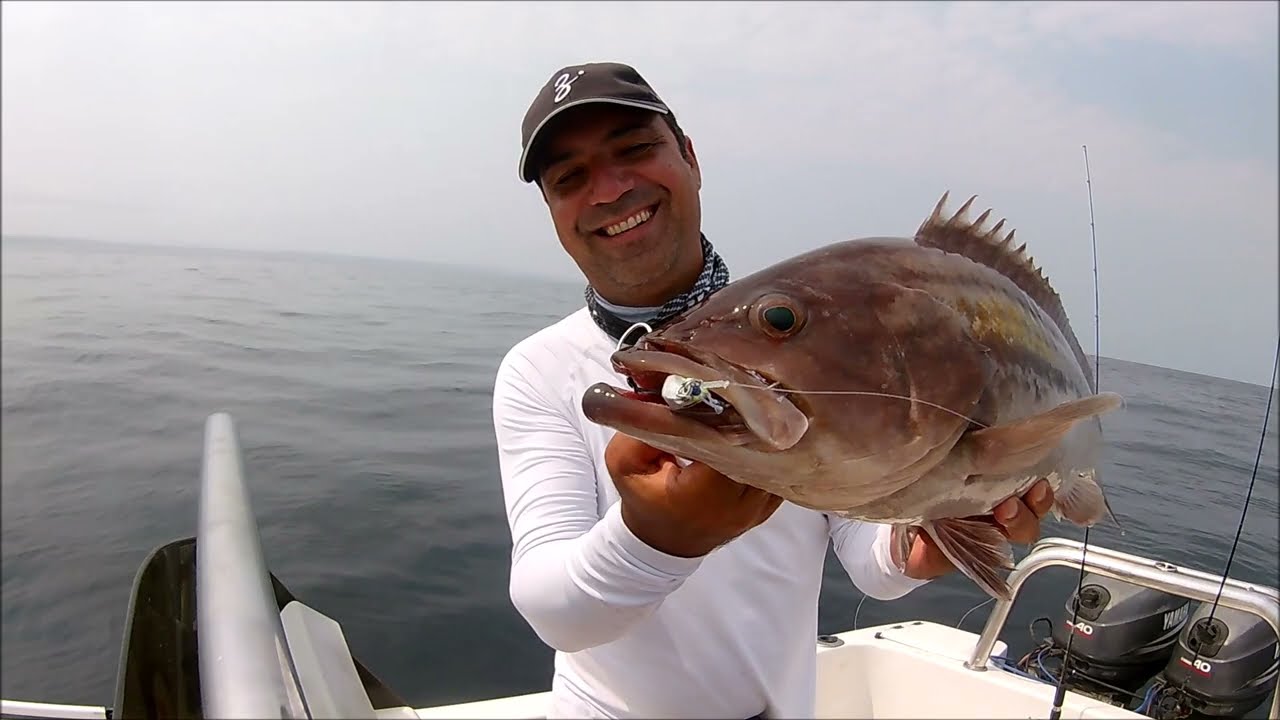Groupers day with Zenaq Fokeeto Ikari FB63-1