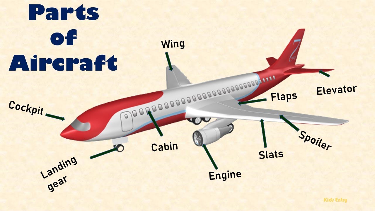 Aircraft Parts | Parts of Airplane | Basic Parts of Aircrafts | Different Parts of An Aircraft