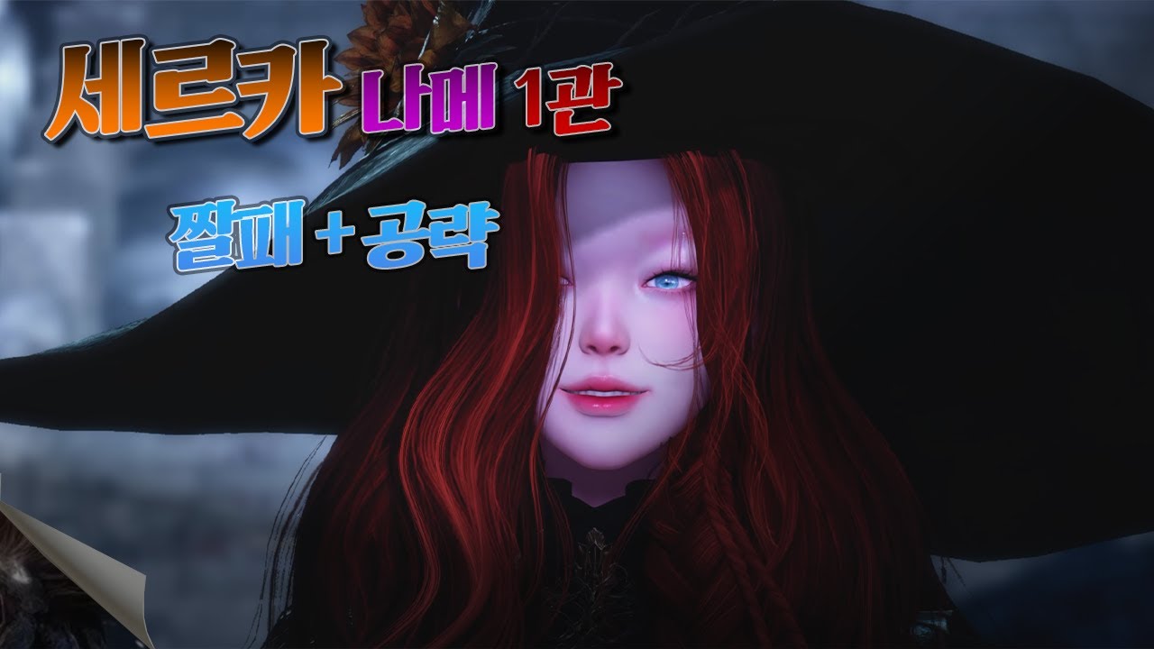 로스트아크 세르카 나메 1관문 짤패공략
