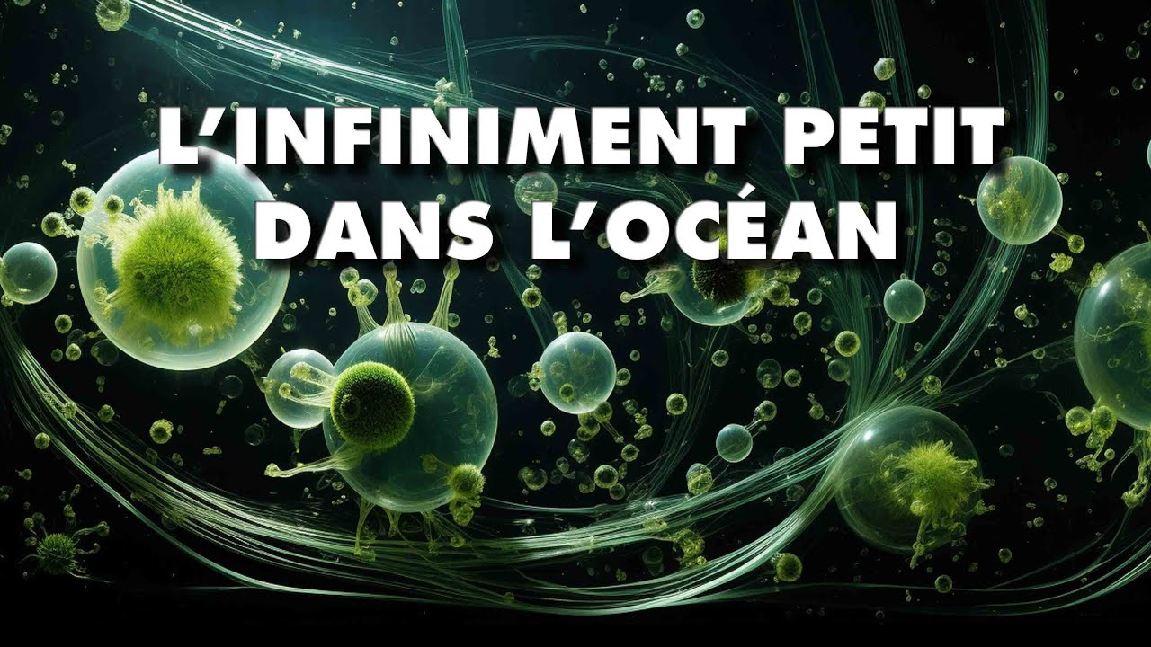 L'INFINIMENT PETIT sous la surface des océans