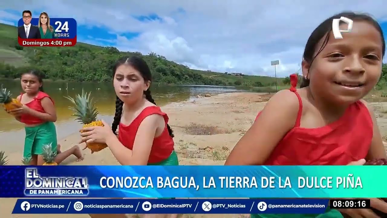 El Porvenir, un tesoro escondido en Bagua: un destino ideal para los amantes de la piña