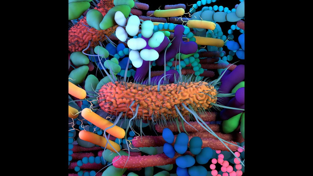 Longevity and the Microbiome: A Conversation with Dr. Mahmoud Ghannoum
