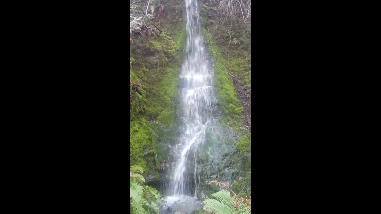 Jarrell Cove falls