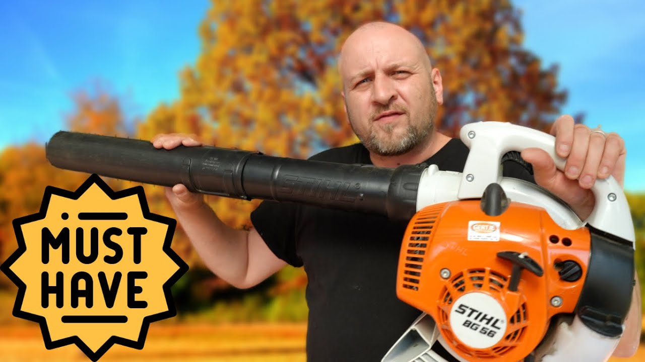 Der beste Benzin Laubbläser? 🌪 Testsieger vorgestellt + Tipps!