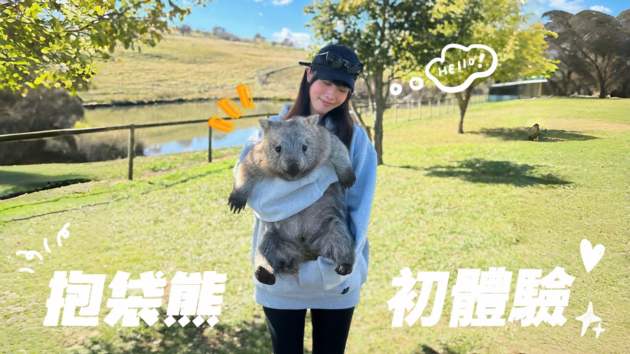 🐻 抱抱袋熊初體驗 ｜雪梨動物園Taralga Wildlife Park