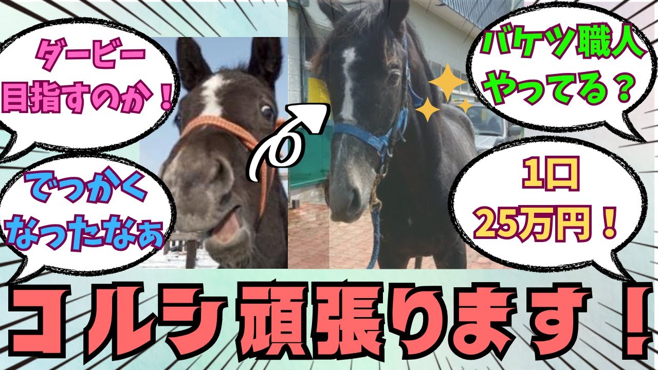 ★2万回突破★【コルシカ】ゴルシ産駒のバケツ職人・ダービーを目指す！！に対する競馬好きの反応【競馬の反応集】
