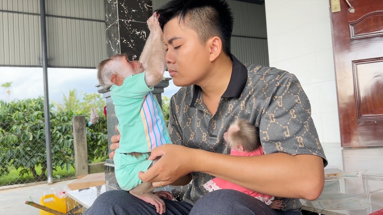 So affectionate! Monkey SinSin always gives the most love to Dad