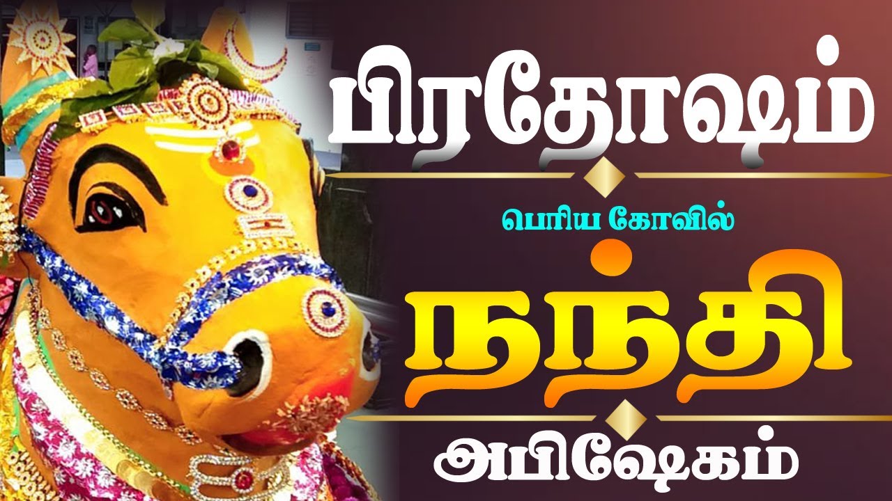 🔴Live: தை பிரதோஷம் |  பெரிய கோவில் நந்தி | மஹா அபிஷேக அலங்கார தரிசனம் |Pradosham