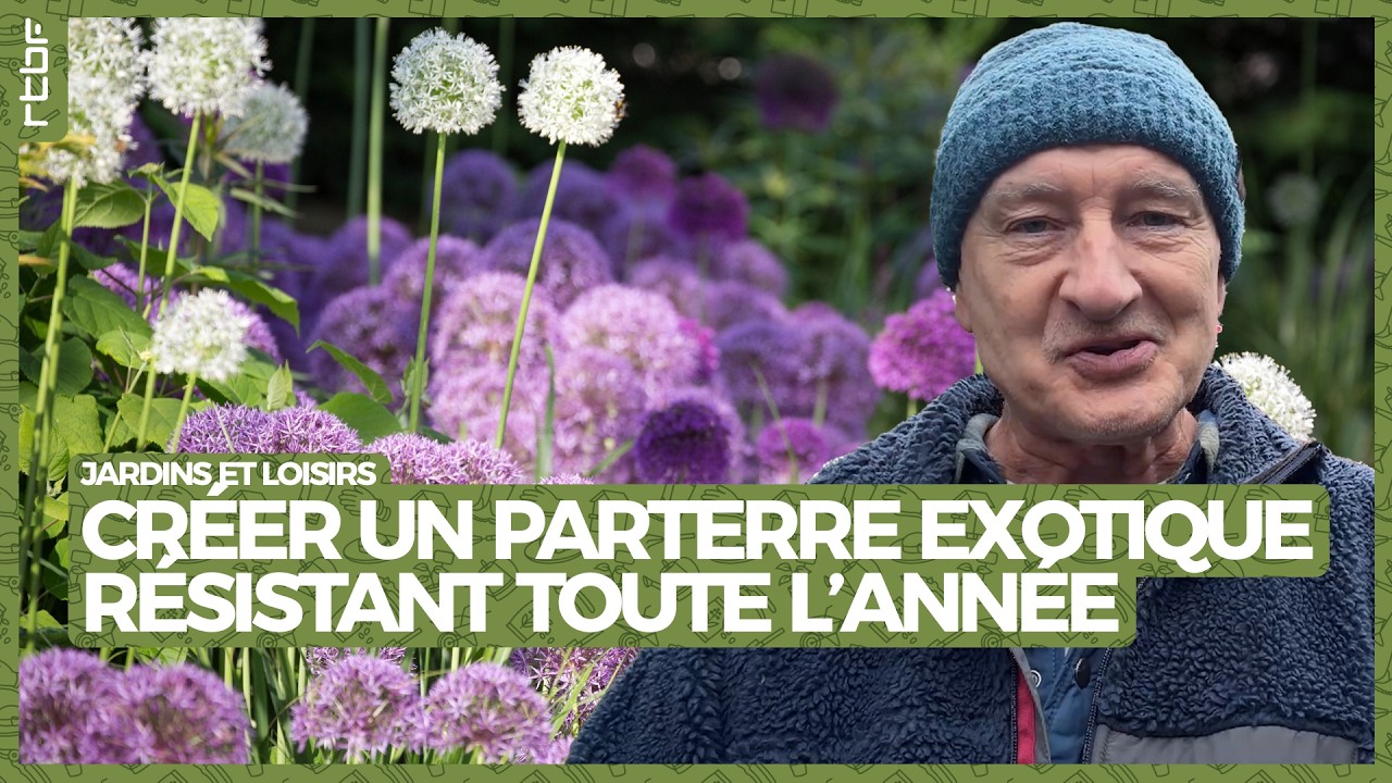 Créer un parterre exotique résistant toute l’année - Jardins et Loisirs