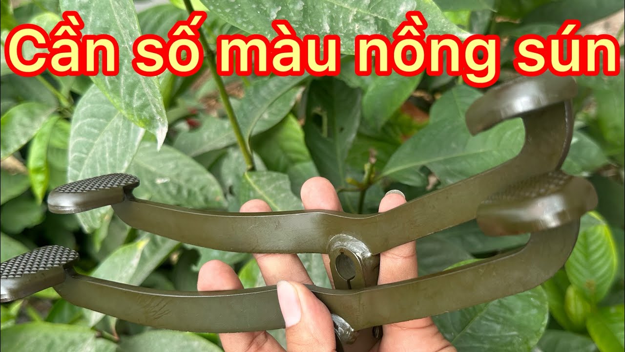 Giảm giá vỏ-đùm-căm 