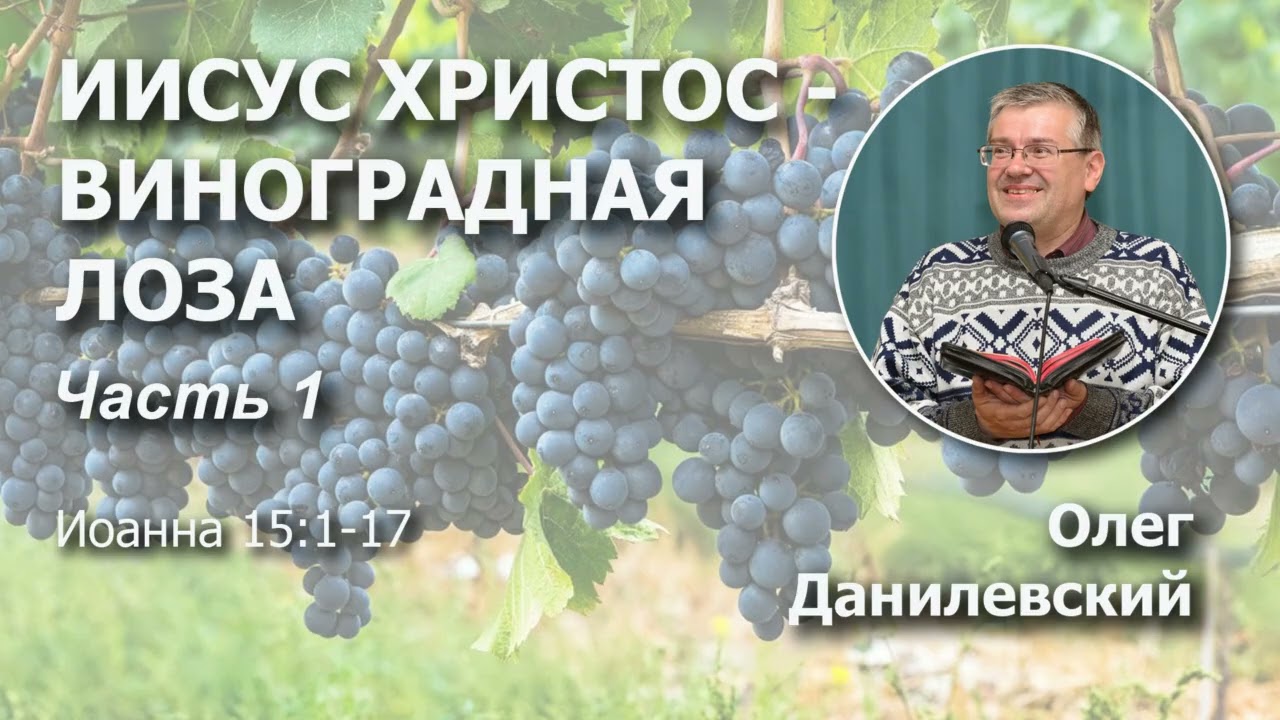 Иисус Христос - Виноградная Лоза | Часть 1 | Проповедь | Олег Данилевский