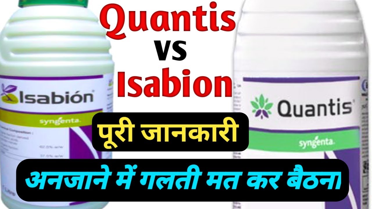 Quantis vs Isabion || Best Plant Growth Promoter || Compare Between Quantis And Isabion