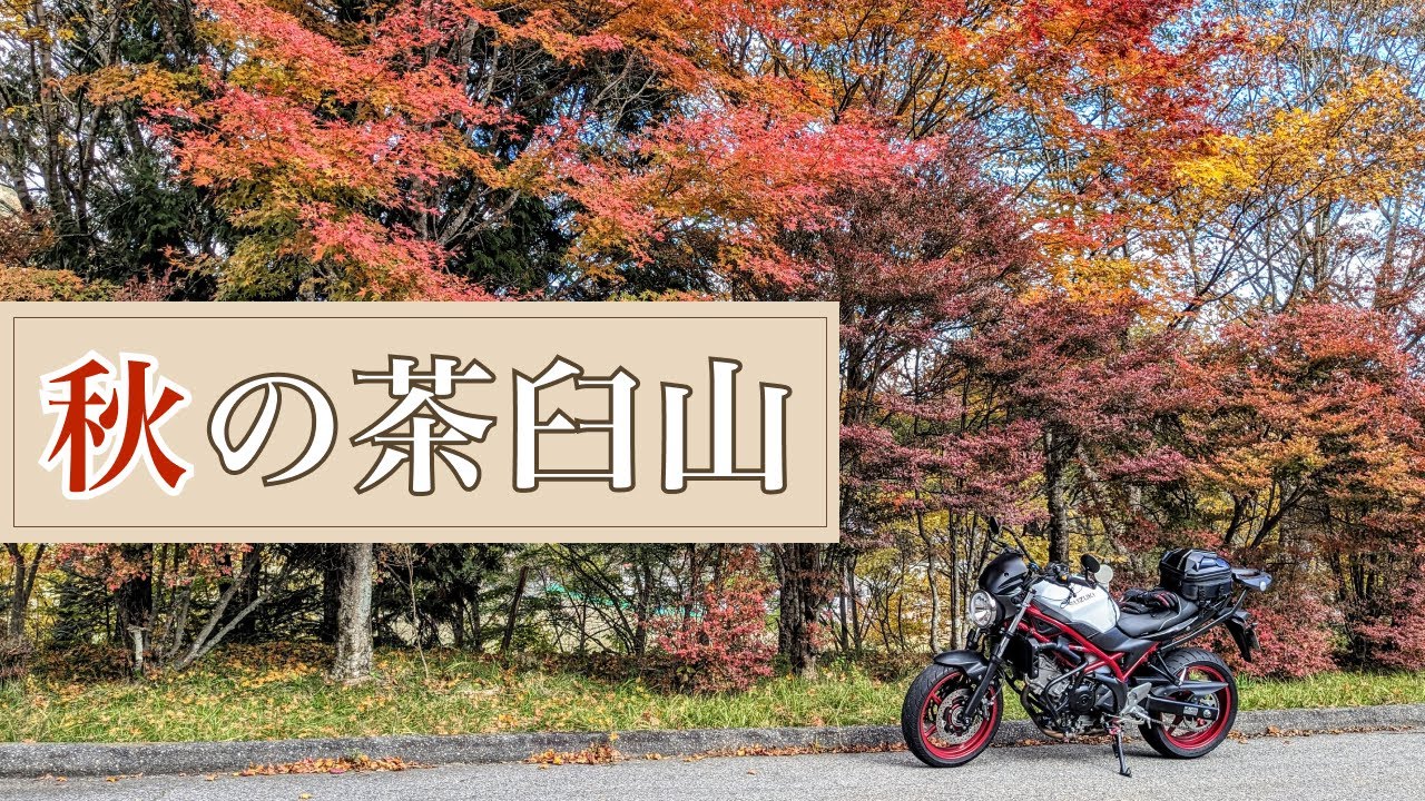 【秋ツーリング】紅葉の茶臼山と鍋焼きうどんを堪能する1日 | SV650