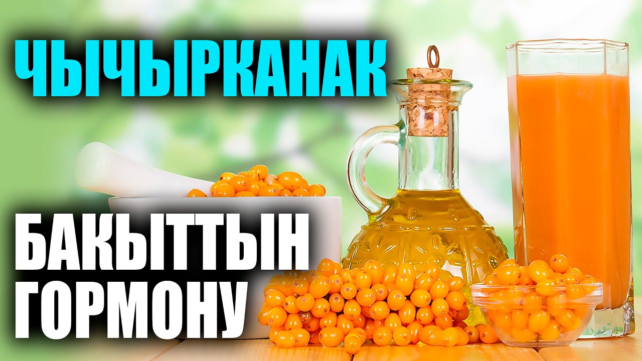 ОБЛЕПИХА – ГОРМОН СЧАСТЬЯ / УДИВИТЕЛЬНО / ПОЛЕЗНЫЕ СОВЕТЫ