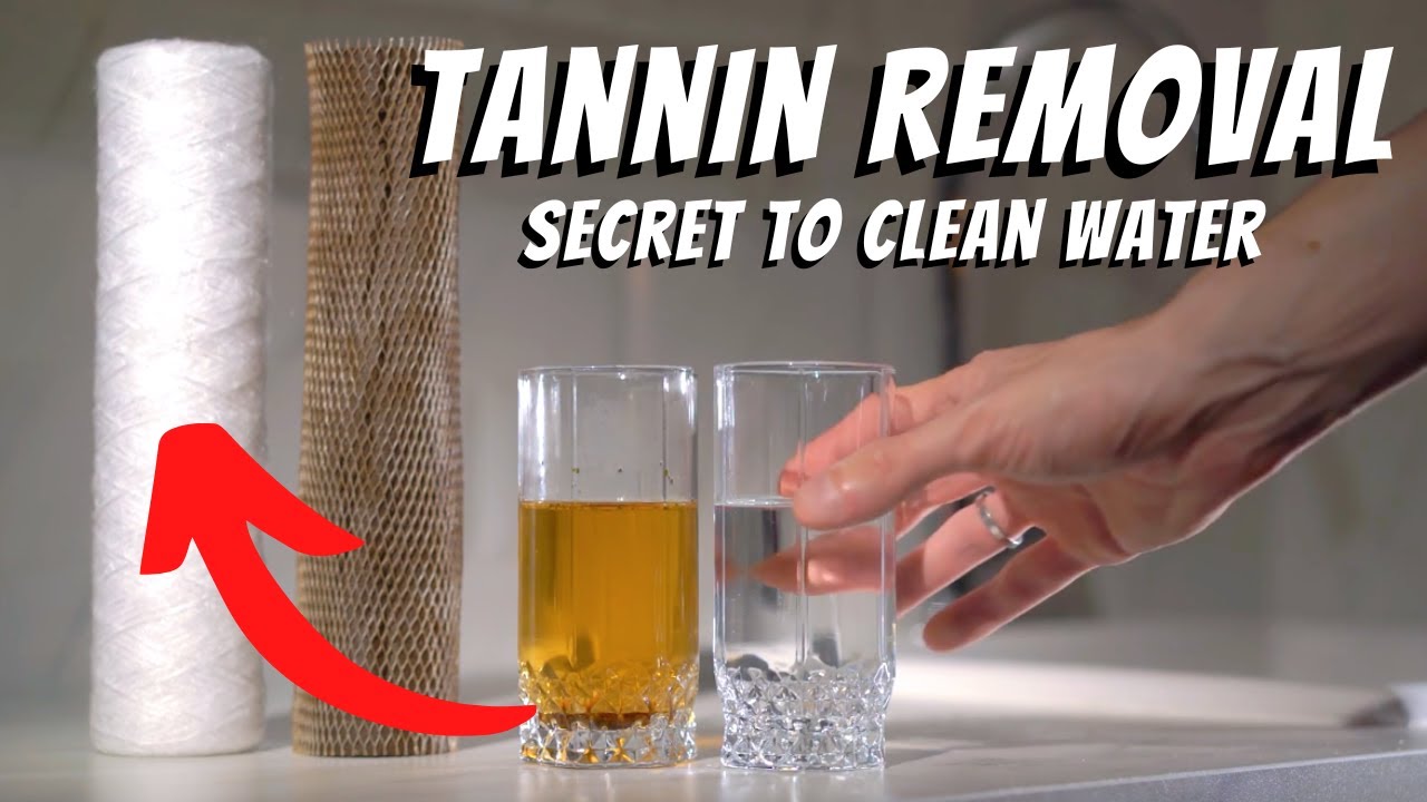 How To Remove Tannins: Best Tannin Water Filter Reviews🚰 (2023 Guide To Fix Yellow and Brown Water)